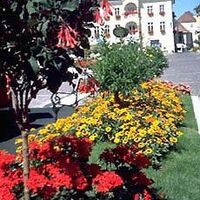 Die Blumenstadt St.Veit an der Glan.