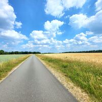 Asphaltierter Feldweg  - ideal zum Rad- und Rennradfahren 