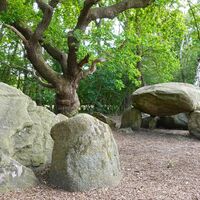 Großsteingrab Bruneforth