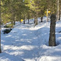 1.6 km 4. Wegquerung