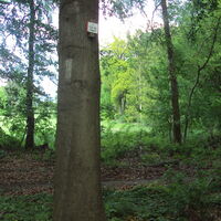 Salzgitter-Bad, Waldweg 13 und 15 hinter Lichtung