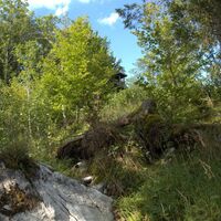 am Aufstiegssteig