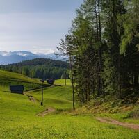 Reith Wiesenweg im Frühling - Weg entlang grüner Wiesen.jpg