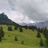 Hundskopf
