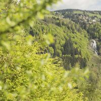 Hasbach Aftersteg Wasserfallausblick