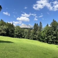 Hier bei einer Waldweide Seitblick zur Preiner Wand (s. auch Titelfoto)