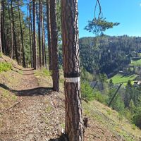 Bahnwanderweg über den roten Berg