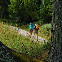 Präbichl - Eisenerzer Reichenstein