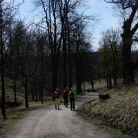 Hütteldorf - Lainzer Tiergarten - Liesing