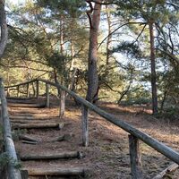 Stufen führen auf die Wanderdüne hinauf