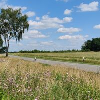 Landstraße bei Olmsruh