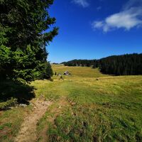 Am Herrenboden