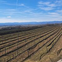 Blick nach grob Südwest