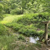 Brücke-am-Bach-ccbysa-foto©bispingen-touristik.jpeg
