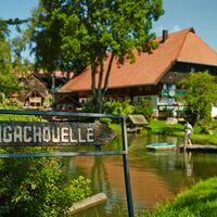 Brigachquelle