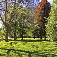 Park in Calw