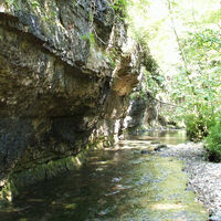 Gauchachschlucht