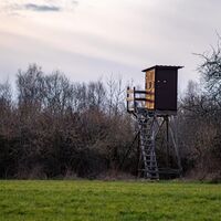 Hochstand auf dem Berg über Alschbach