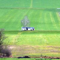 Die Busse des Salzburger Verkehrsverbundes fahren beinahe überall hin, - auch durch das Oichtental.