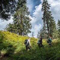 Langwies - Peist_Schanfigger Dörferweg