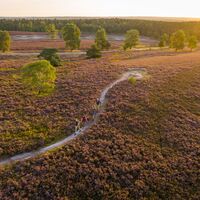 Wanderung auf den Brunsberg
