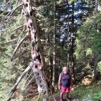 Rohrauerhaus - Gr. Pyhrgas - Dr. Vogelgesang-Klamm - Spital am Pyhrn