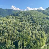 L3 Rinnerberger Trail