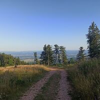Allmählich beginnt der Weg nach unten in Richtung Grünbach
