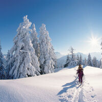 Skitour Laber