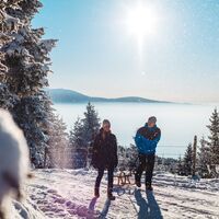 Rodelbahn auf der Saualpe