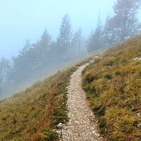 wieder zurück zum Lawinenspitz