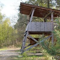 Beobachtungsplattform Velpker Schweiz