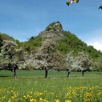 Blick zum Hohenkrähen