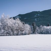 spazierweg nach piesendorf_img_604072527