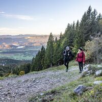 Zabreška Planina Alm