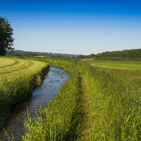 Heidenwuhr auf freier Flur