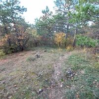 Singletrail - orographisch rechts halten