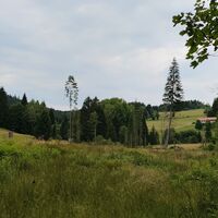 Blick auf Heinrichsbrunner Reuten