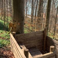 Walderlebnispfad Lärchenwald Tegernsee