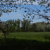 Freudenauer Hafen - Seestadt