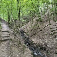 Auf der Wanderroute Nr. 43