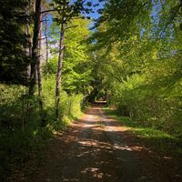 Sternenweg in Sutrieu