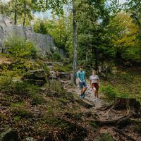 Bärenfels am Rande des Wanderwegs