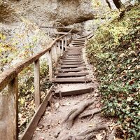 Klosterfelsenweg - Holztreppen, Donaufelsenläufe