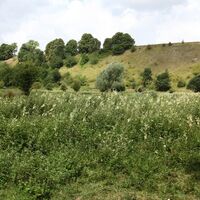 Wanderung Der Durchgang der Wölfe