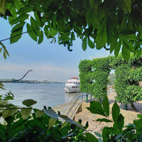 Blick auf den Rhein und auf das Fahrgastschiff