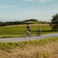 Radtour Radfahrerinnen Donauradweg