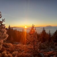 Fischbach_Aussichtsbankl Reithkogel_Oststeiermark