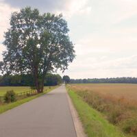 Verbindungsstraße zwischen Schafwedel und Langenbrügge