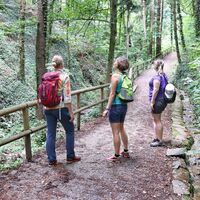 Aufstieg zur Ringwarte Hartberg in Oststeiermark